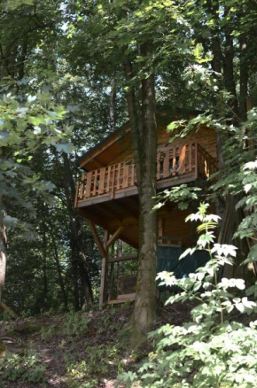 Treehouse Velké Losiny, Velké Losiny